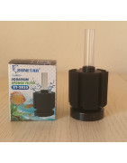 Aquaristik
